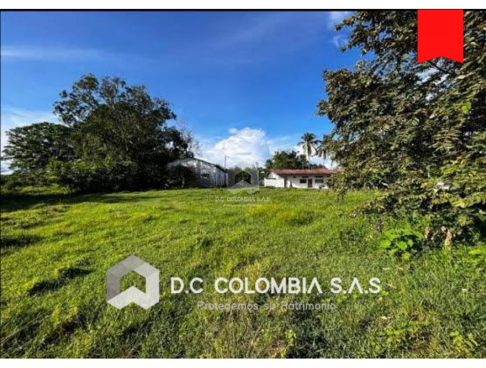 LOTE EN VENTA EN CARMEN DE APICALÁ - VEREDA EL MORTIÑO